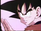 goku2.jpg