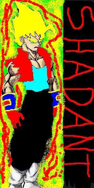 leavant-and-shadow-fusion-super-sayin-form.jpg