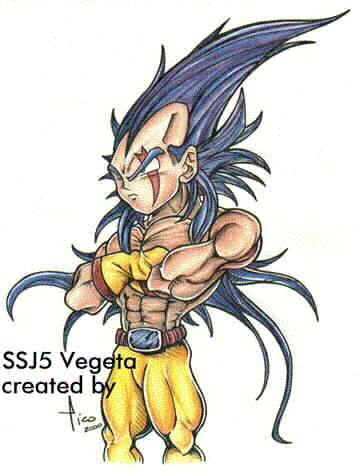 ssj5-vegeta.jpg